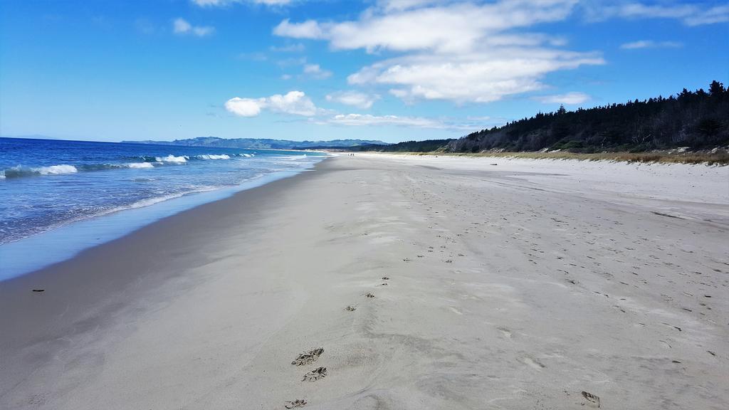 오클랜드 Close To Beach 아파트 외부 사진